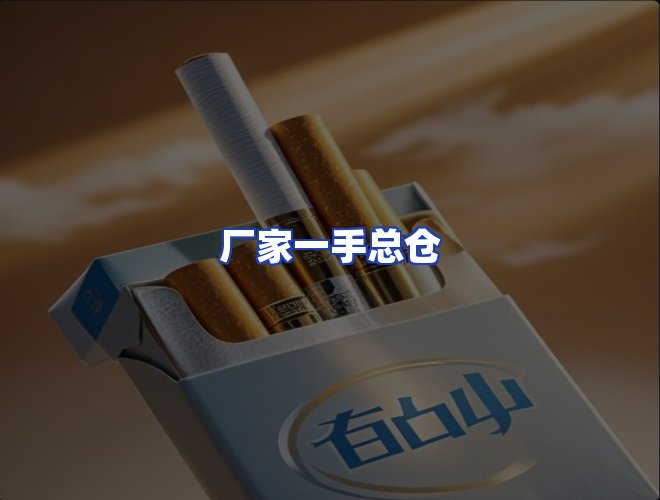 专业团队